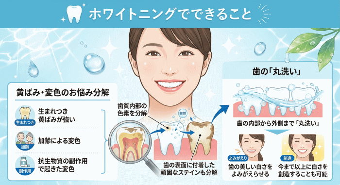 画像の説明