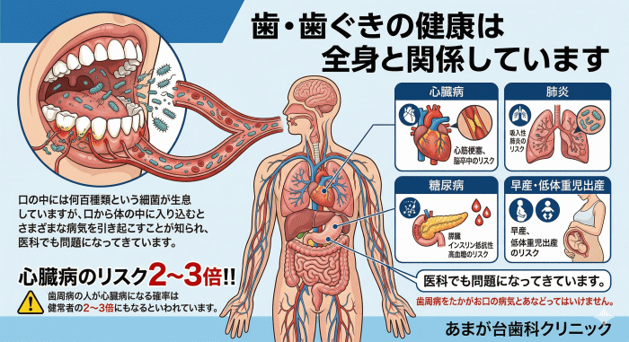 画像の説明
